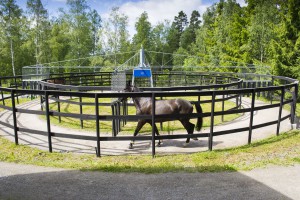 Skrittmaskin på Stall Danora